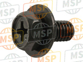 901490520300, Screw, Met Washer(2JA), Yamaha