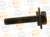 901590600600, Screw, Met Washer, Yamaha, 2