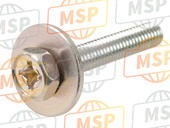 901590600900, Screw, Met Washer, Yamaha