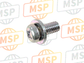 901590604300, Screw, Met Washer, Yamaha, 1