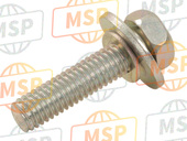 901590604900, Screw, With Washer, Yamaha, 2