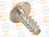 901600581000, Screw, Round Tappi, Yamaha, 2