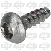 901690500300, Tapping Screw, Yamaha