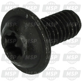 901690580100, Screw Tapping, Yamaha, 1