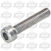 913110603000, Bearing Bolt, Yamaha