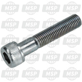 913141005000, Bearing Bolt, Yamaha