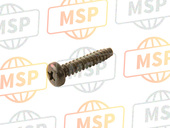 977075012500, Screw, Tapping, Yamaha