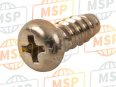 977025051200, Screw, Tapping, Yamaha