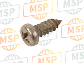 977016011600, Screw, Tapping, Yamaha