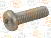 985800501600, Screw, Pan Head(6B0), Yamaha