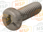 985020601600, Screw, Pan Head(6B0), Yamaha