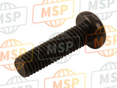 985170501600, Screw, Pan Head, Yamaha, 2