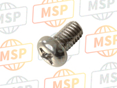 925010601000, Screw Pan Hoofd, Yamaha