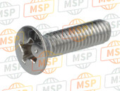 986800451600, Screw, Oval Hoofd, Yamaha