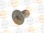 987800501000, Screw, Vlak Hoofd (716), Yamaha